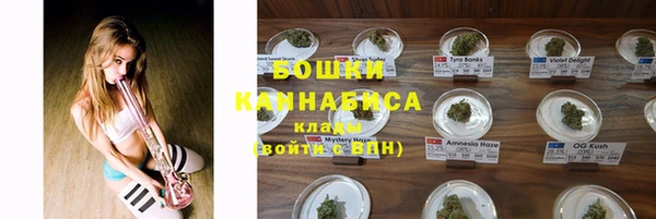 сатива Абаза