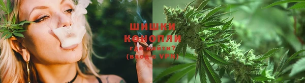 сатива Абаза
