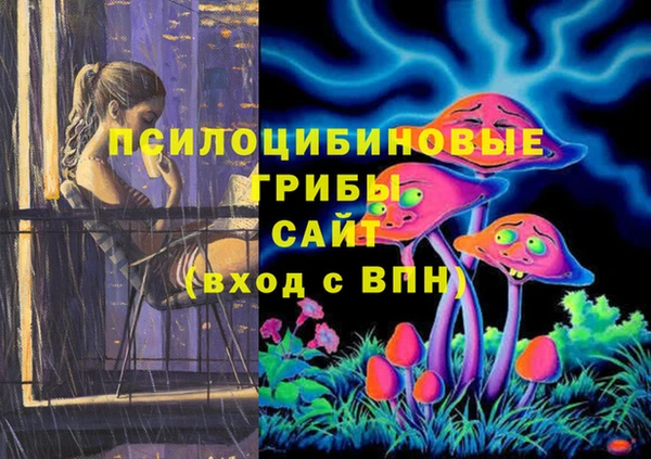 сатива Абаза