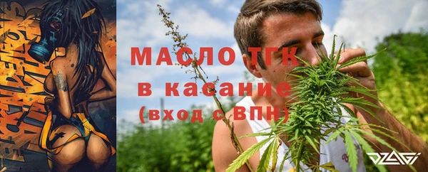 сатива Абаза
