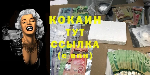 сатива Абаза