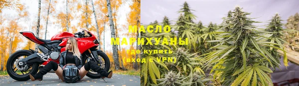 дживик Надым