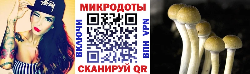 Псилоцибиновые грибы Magic Shrooms  Смоленск 